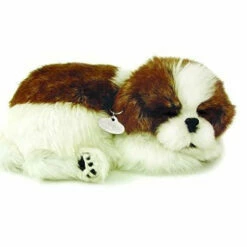 Perfect Petzzz Shitzu